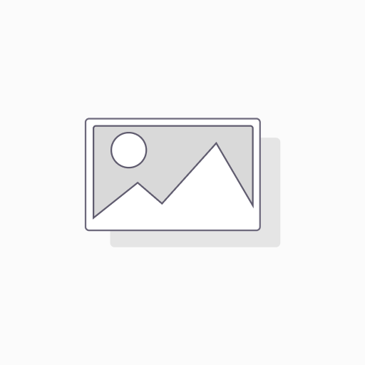 Odoo Support - StartUp